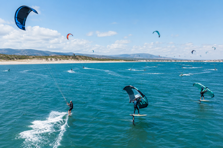 Kite & Wing Legal Tags